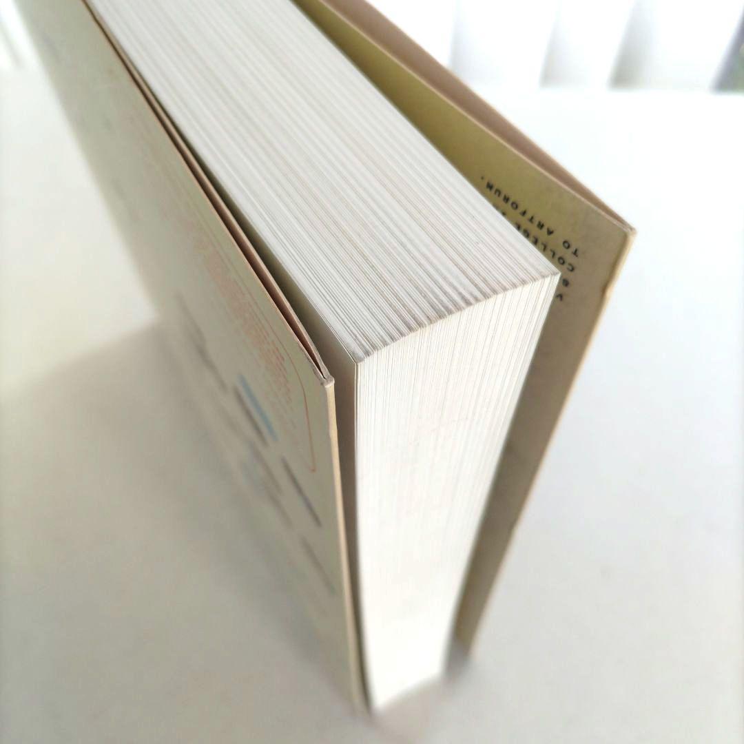 アート・デザイン・音楽 Vitamin P:NEW PERSPECTIVES IN PAINTING