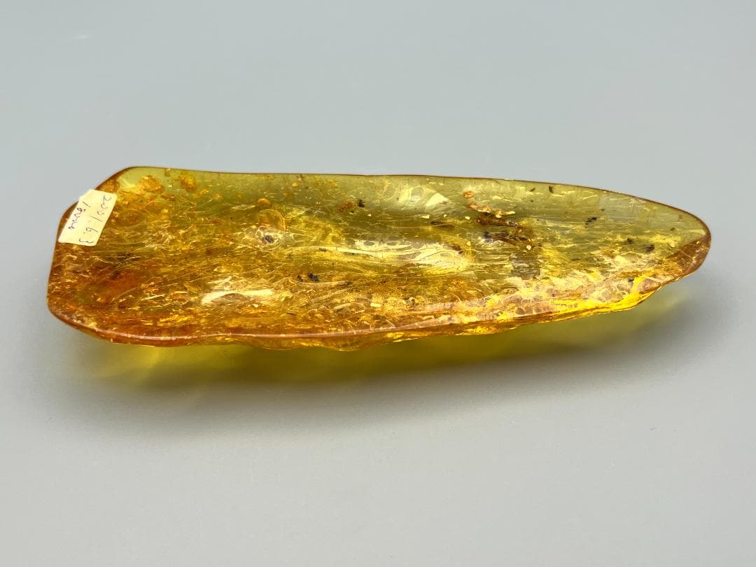 虫入り琥珀　多種多様な虫を内包した　バルティック　アンバー　バルト海沿岸地域産