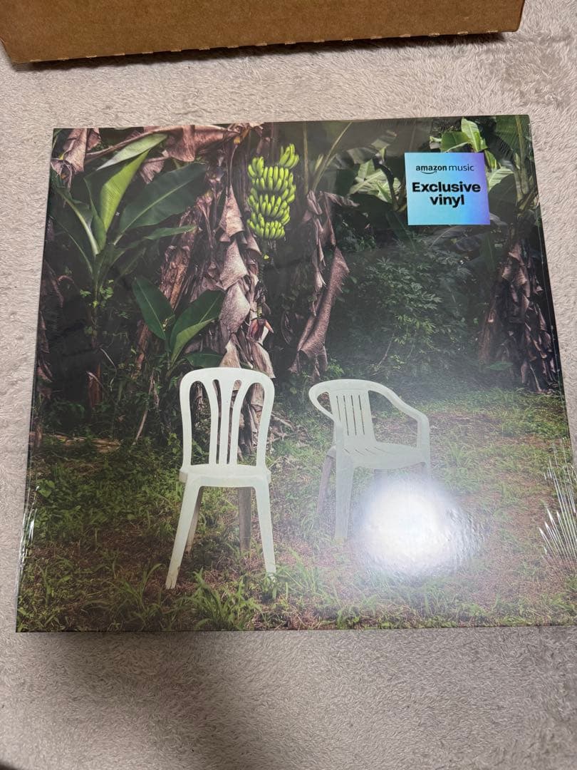 BAD BUNNY DeBí Tirar Más Fotos レコード DTMF