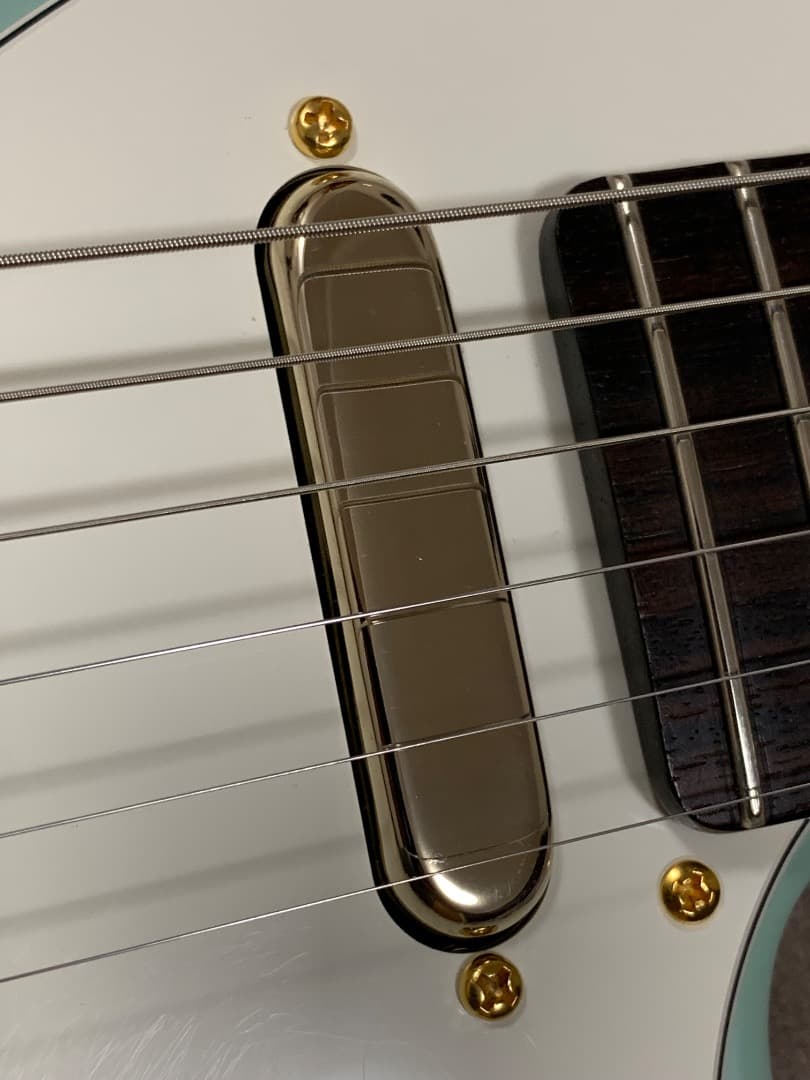 ぽ*っ様 FENDER Thinline Kusumi Telecaster