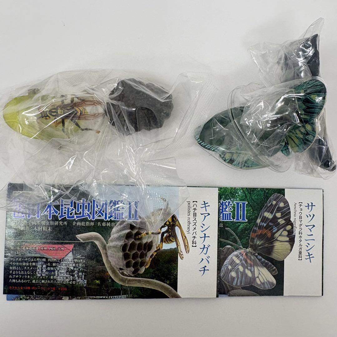原色日本昆虫図鑑Ⅱ シークレット入りフルコン【未開封品】