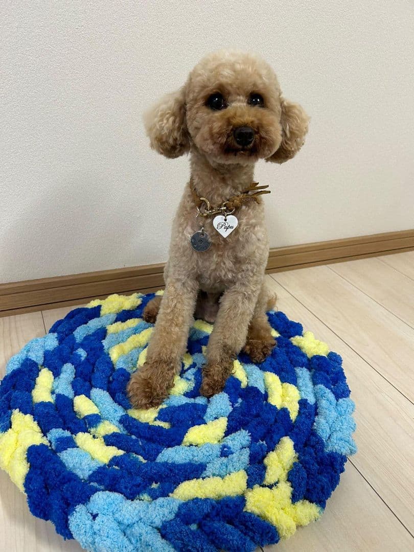 カフェマット  お昼寝マット ペットマット　オーダー承ります