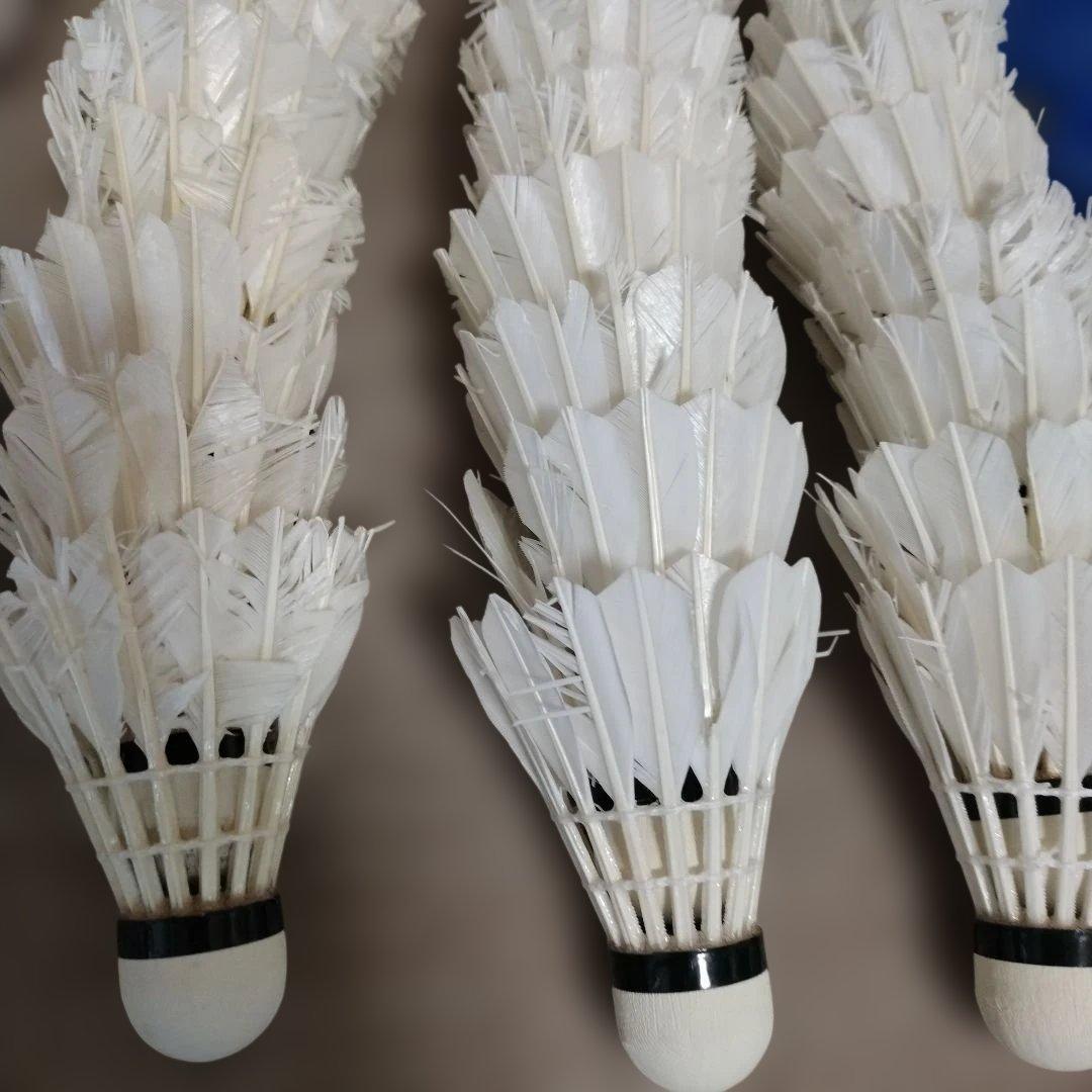 送料無料　yonex ノック用　シャトル　練習用　ヨネックス　基礎　400 5