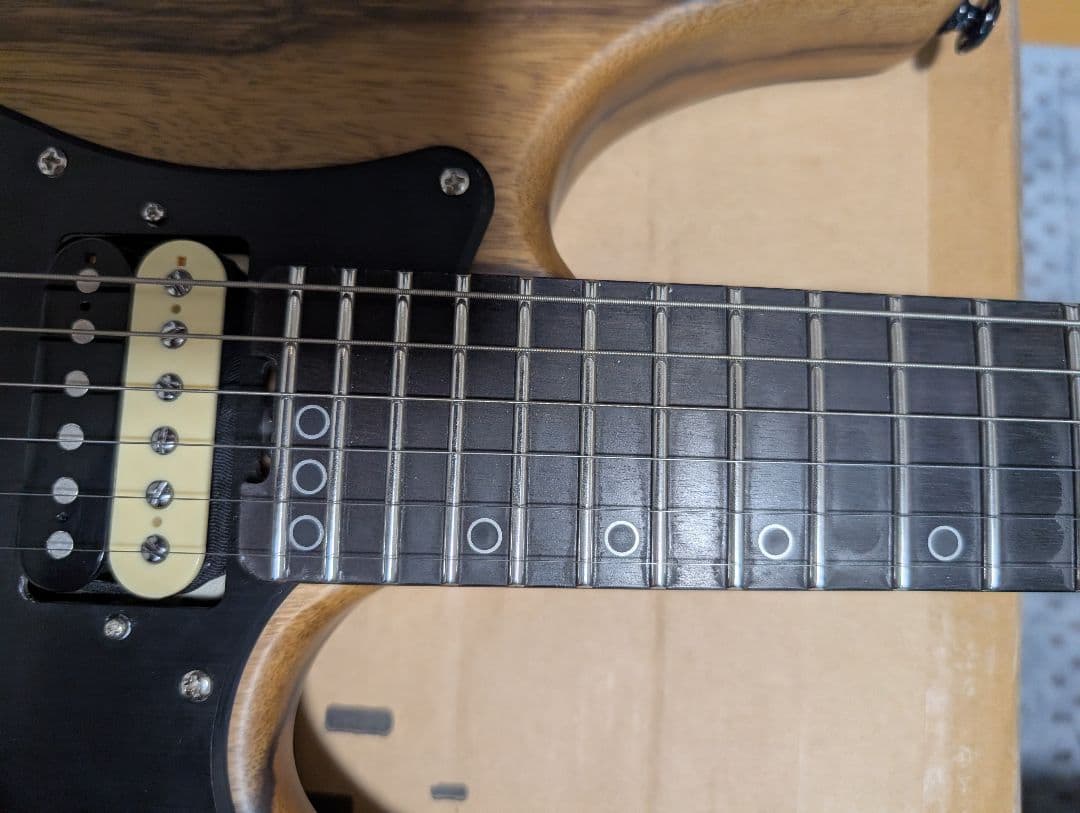 (最終値下げ)Schecter SVSS エレキギター•ハードケース付