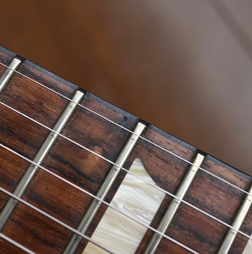 ギター Gibson LTD Les Paul Standard DC Plus