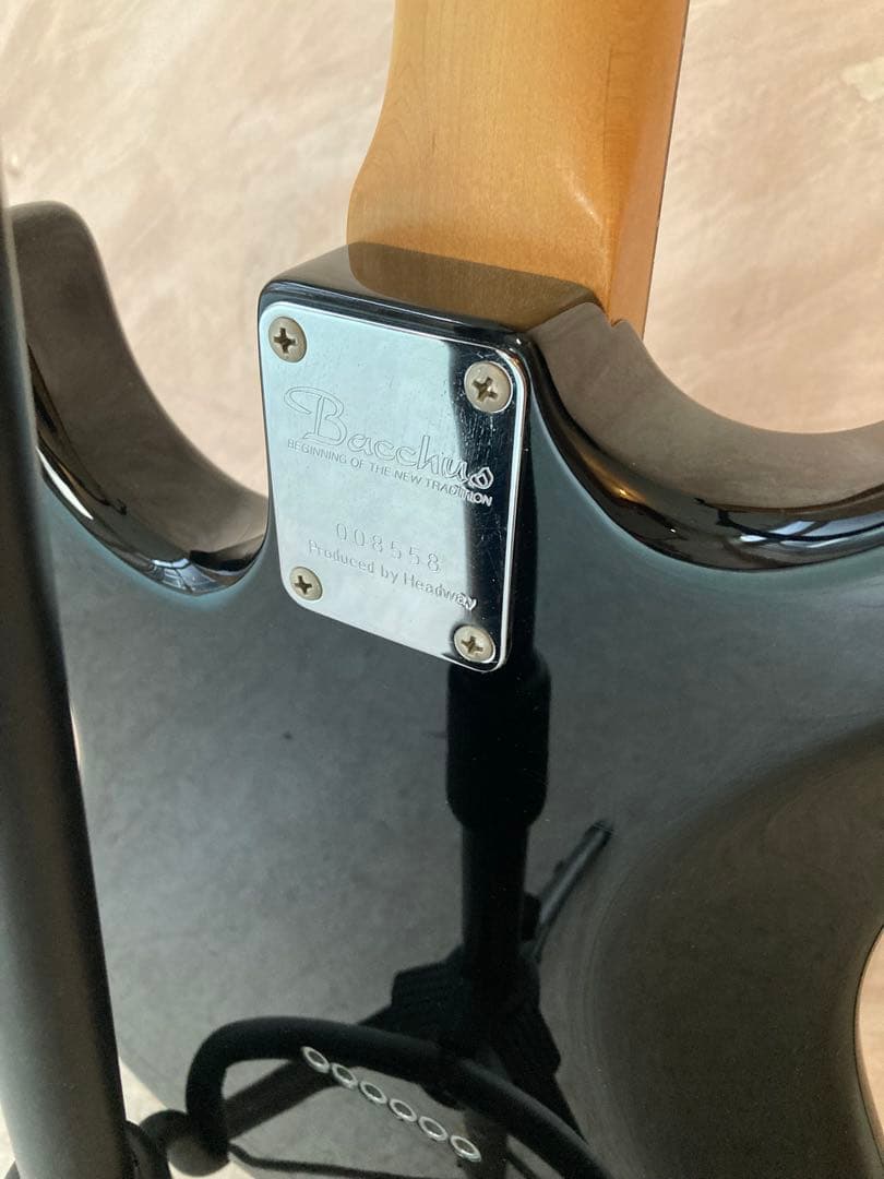 【はせ】Bacchus BST-24HH GLAY HISASHI