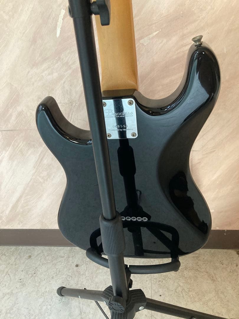 【はせ】Bacchus BST-24HH GLAY HISASHI