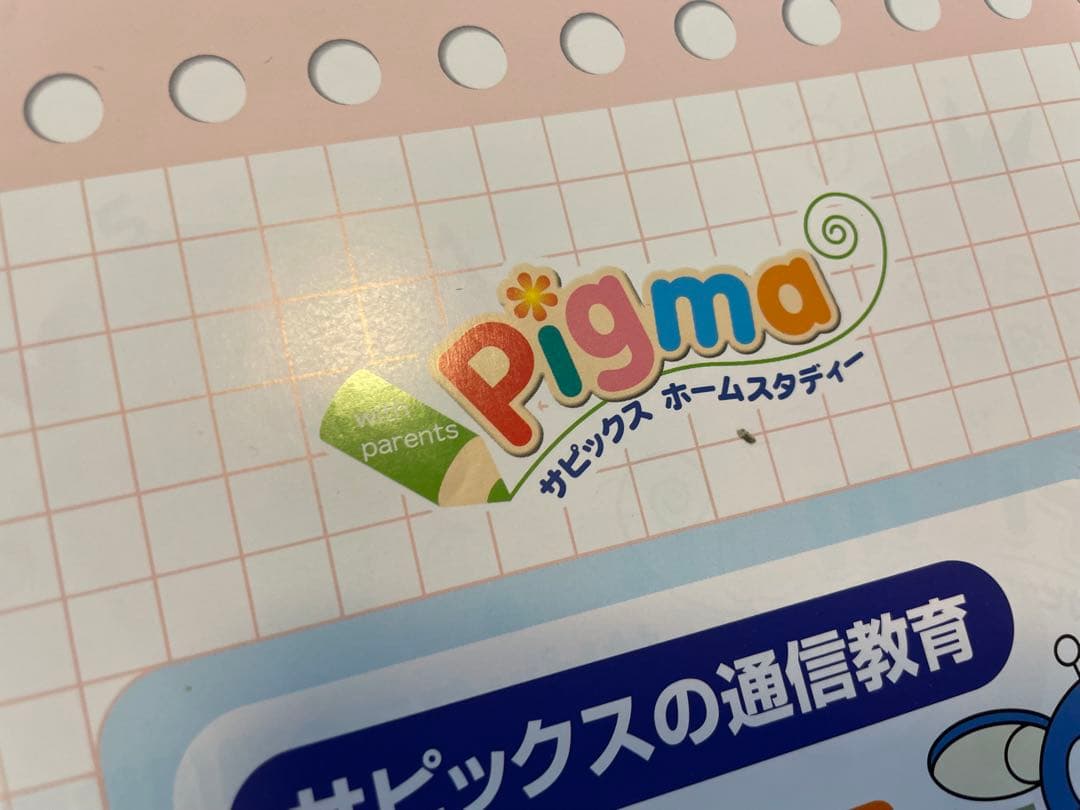 【未記入】サピックス　ピグマ　2年生　通信