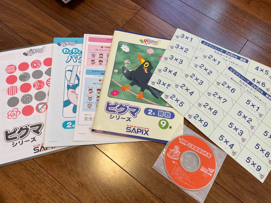 【未記入】サピックス　ピグマ　2年生　通信