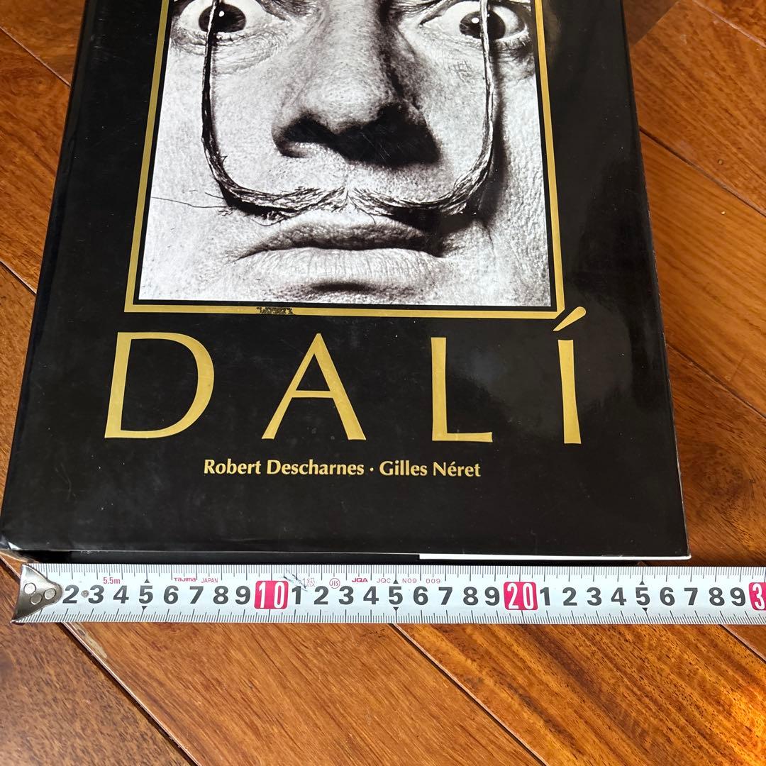 DALÍ The Paintings DALI ダリ全集 希少 英語版