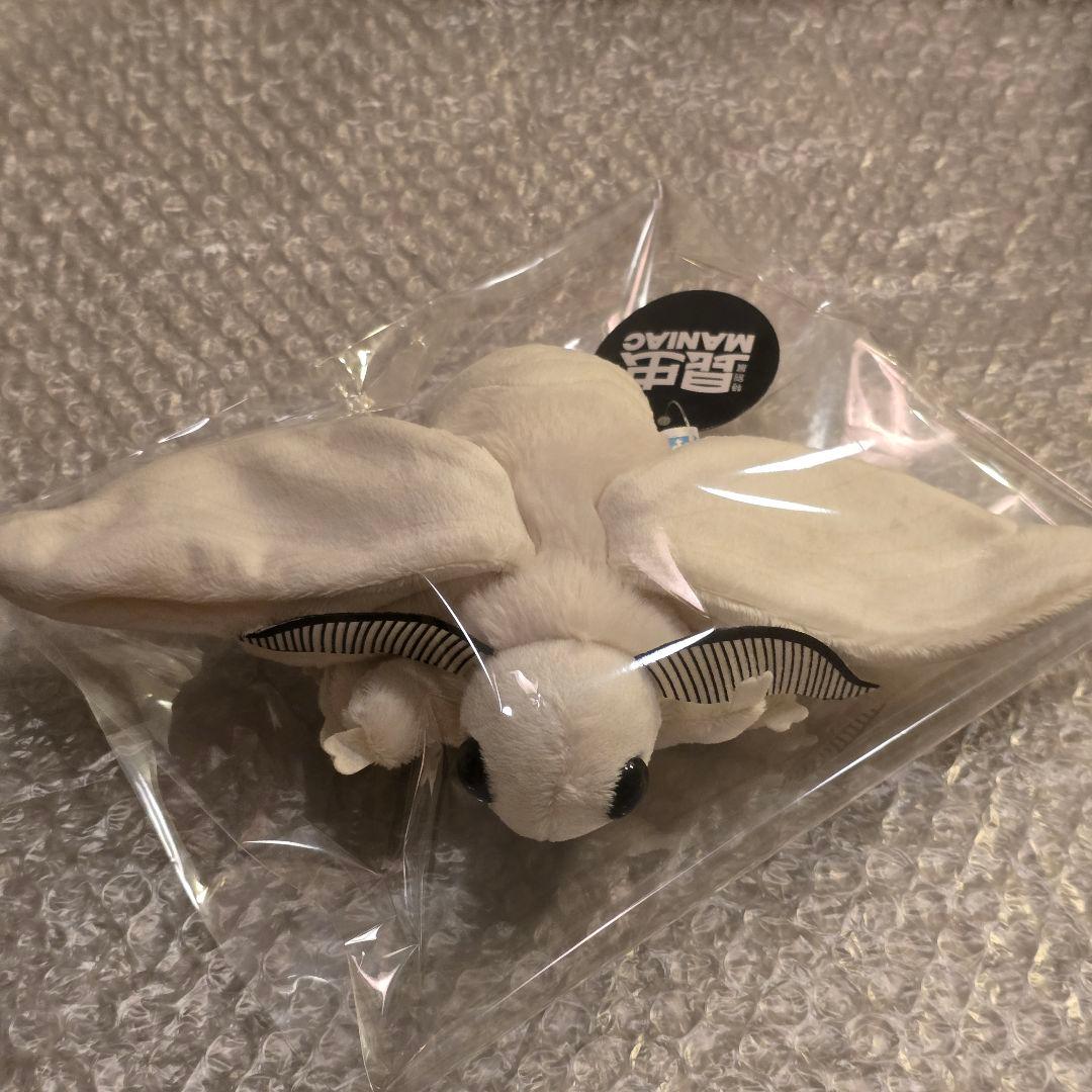 ハ*ル様 昆虫MANIAC　カイコガ　カイコ　蚕蛾　モス　ぬいぐるみ　昆虫マニア