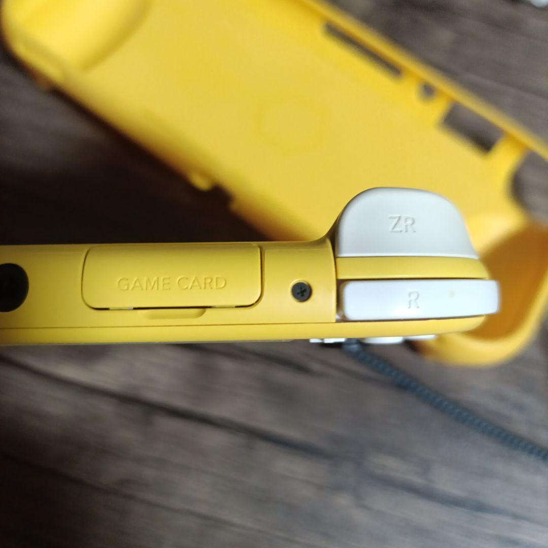 Switchライト ニンテンドースイッチ ケース付き