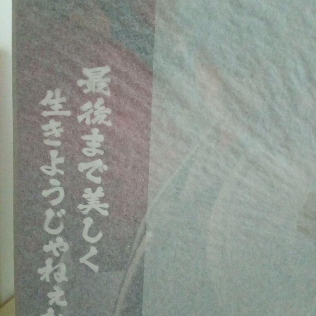 G.E.Mシリーズ 白夜叉 1/8フィギュア 新品未開封品　初回限定盤