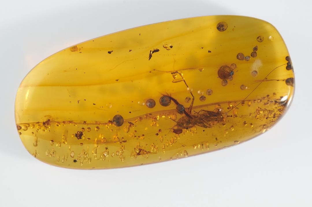 レア極上品 PA0077虫入り琥珀化石　ミャンマーカムティかタナイ9900万年前