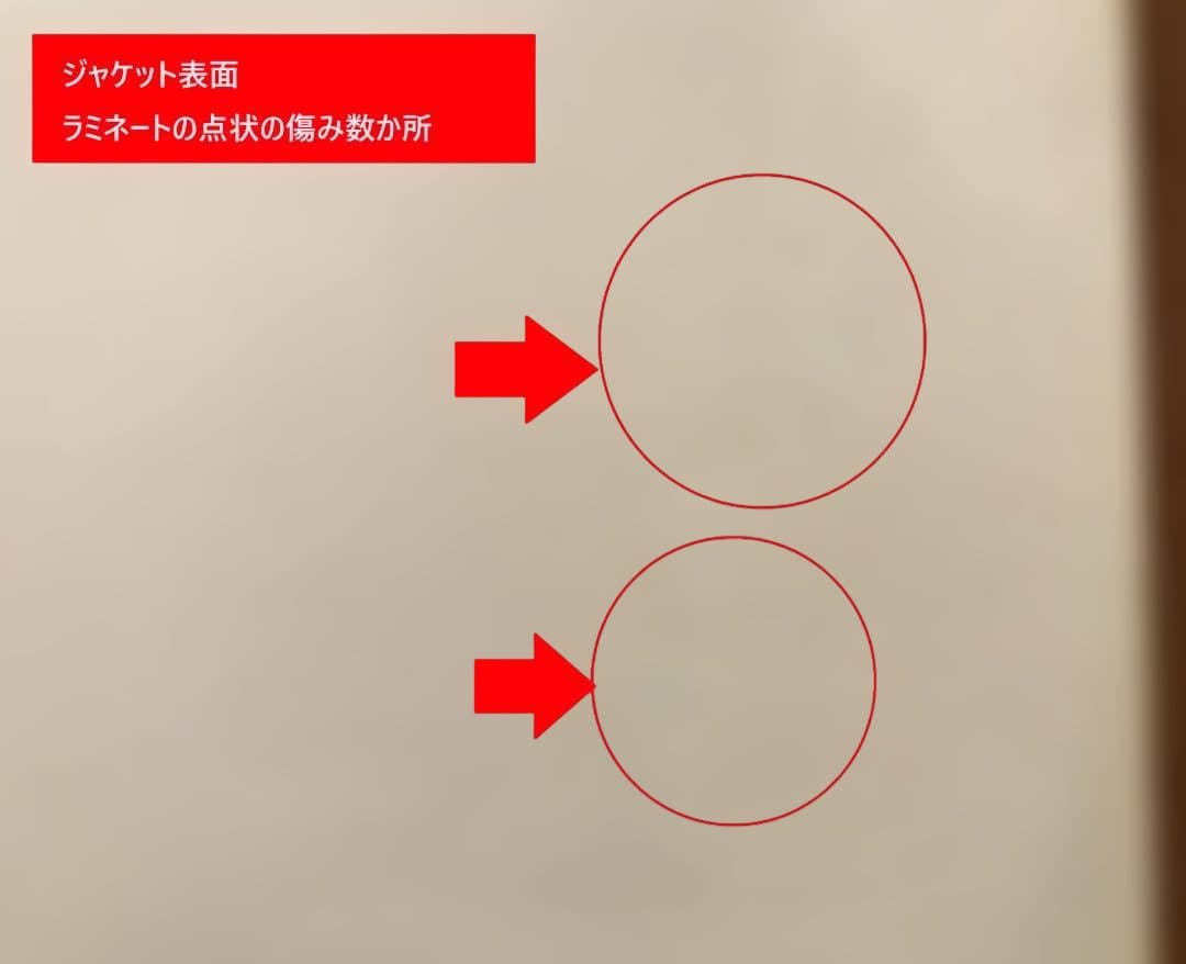 有名なミスラベル米国初回貴重盤！BEATLES “ WHITE　ALBUM ”