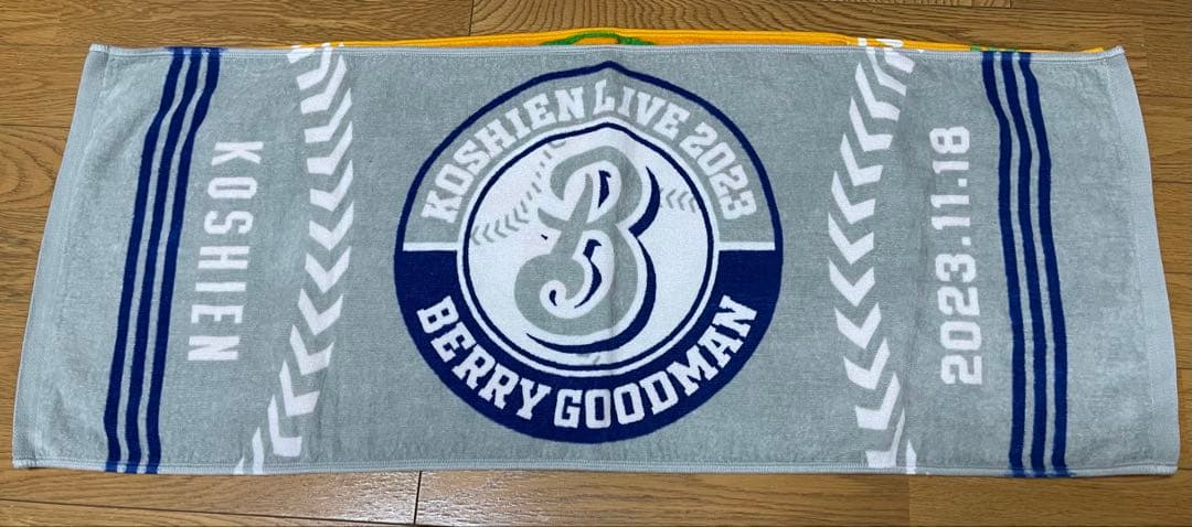 BERRY GOODMAN ベリーグッドマン　ツアーグッズ　タオル甲子園　17枚