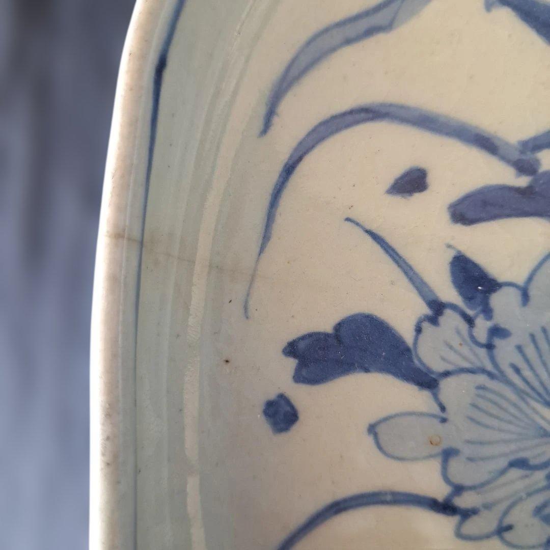 「まるで若冲(じゃくちゅう)のタッチ？！」 古伊万里染付皿(最大幅23cm) 骨