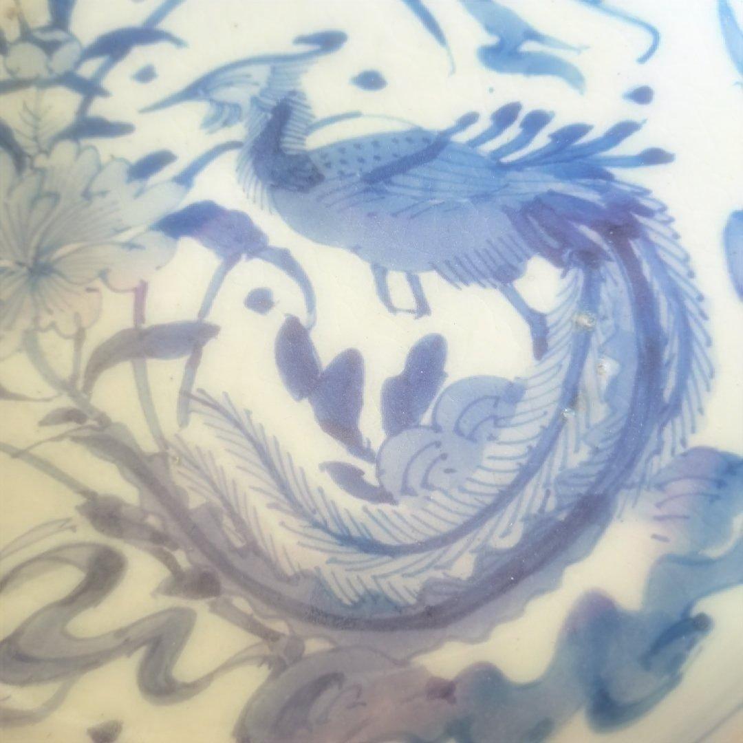 「まるで若冲(じゃくちゅう)のタッチ？！」 古伊万里染付皿(最大幅23cm) 骨