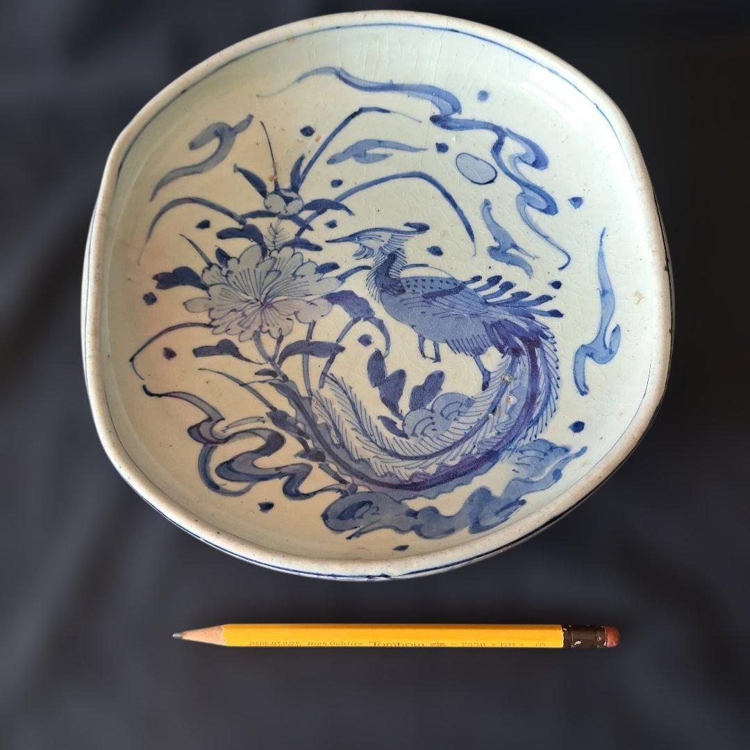 「まるで若冲(じゃくちゅう)のタッチ？！」 古伊万里染付皿(最大幅23cm) 骨