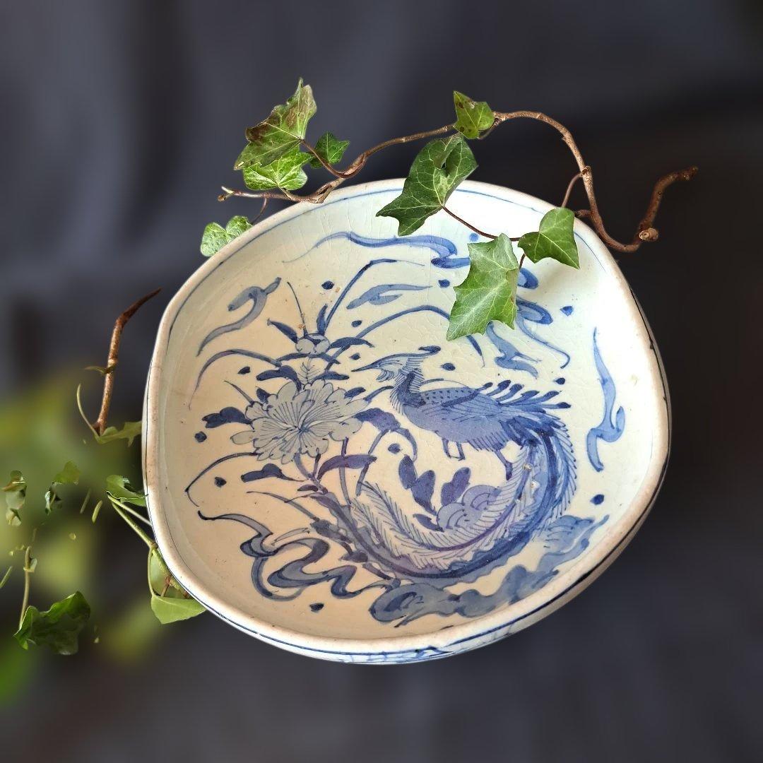 「まるで若冲(じゃくちゅう)のタッチ？！」 古伊万里染付皿(最大幅23cm) 骨