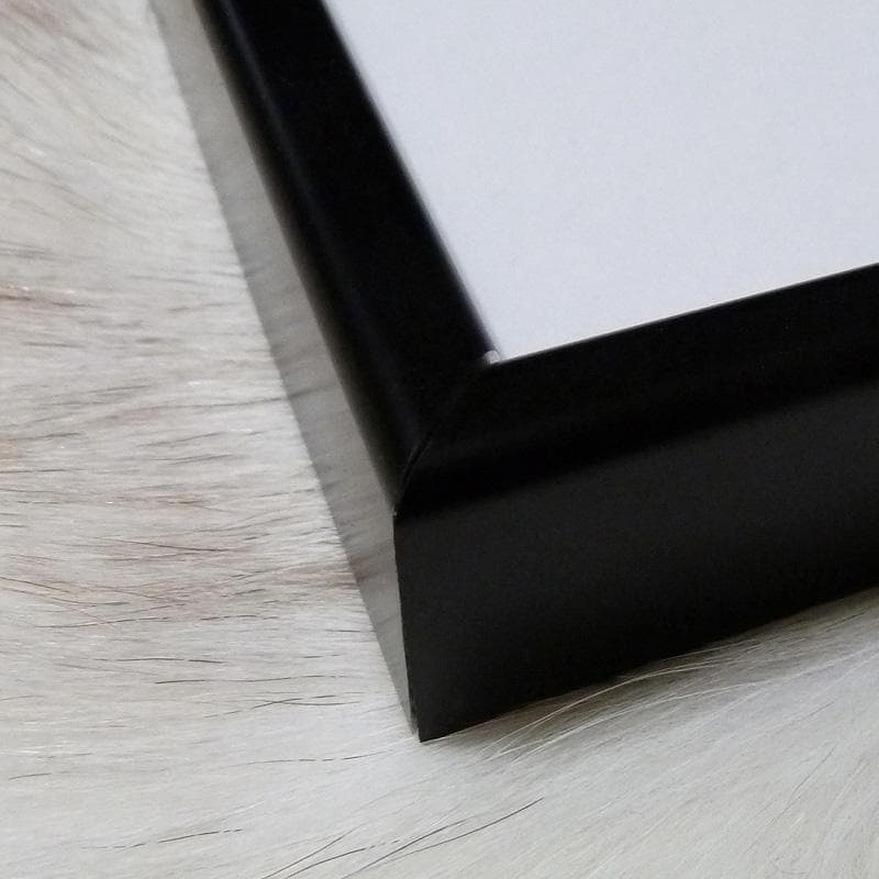 額装品/Sunday B Morning キャンベル Mushroom/ポスター