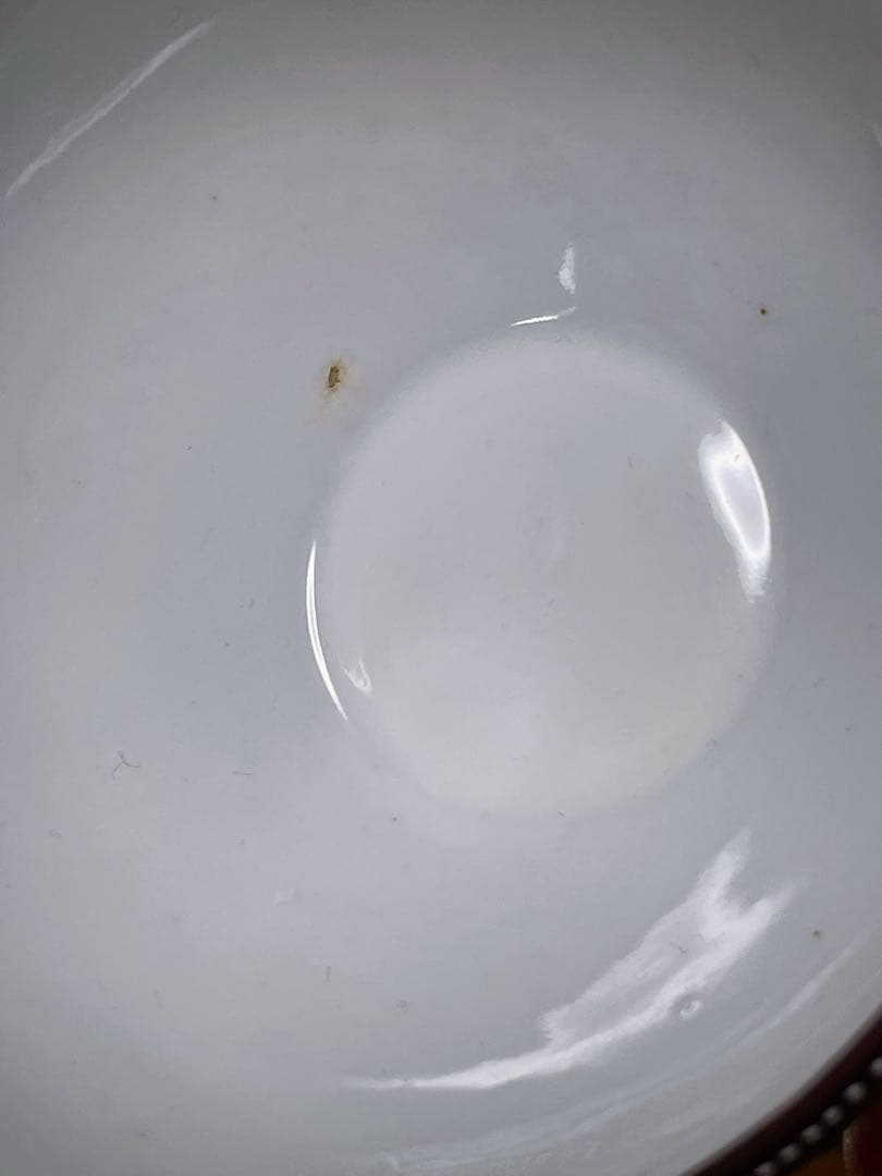 オールドニッポン 龍紋 ティーカップ ソーサー トリオ ドラゴン ぼかし 竜