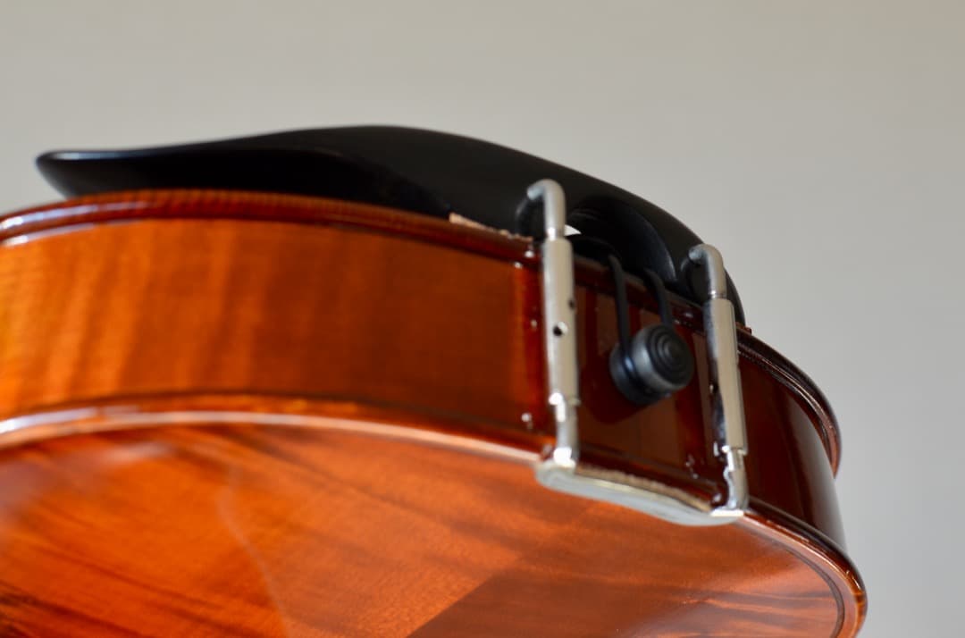 【ほぼ新品】Gliga VASILE gama2 バイオリン 4/4 セット