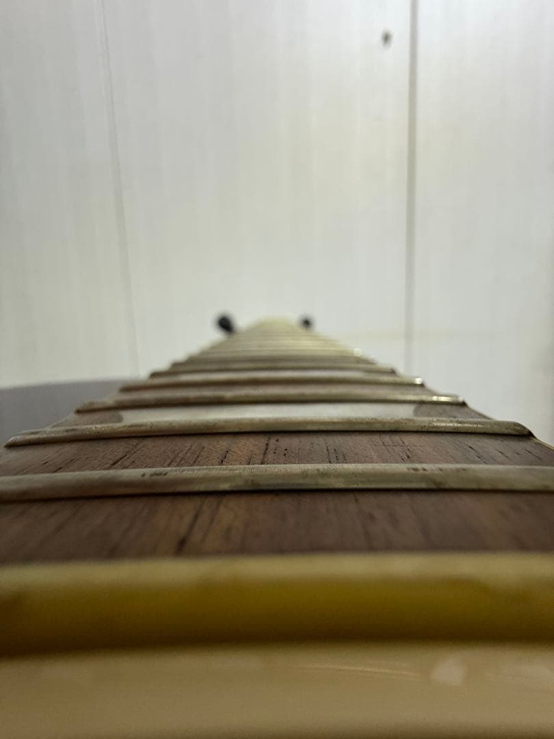 ギター Epiphone Les Paul MODEL STANDARD PRO