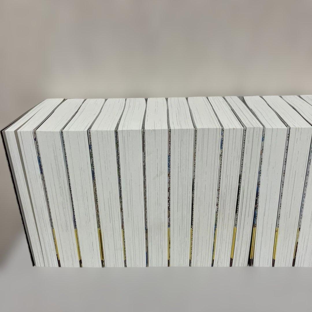 王太子妃になんてなりたくない!! 王太子妃編　全　21冊