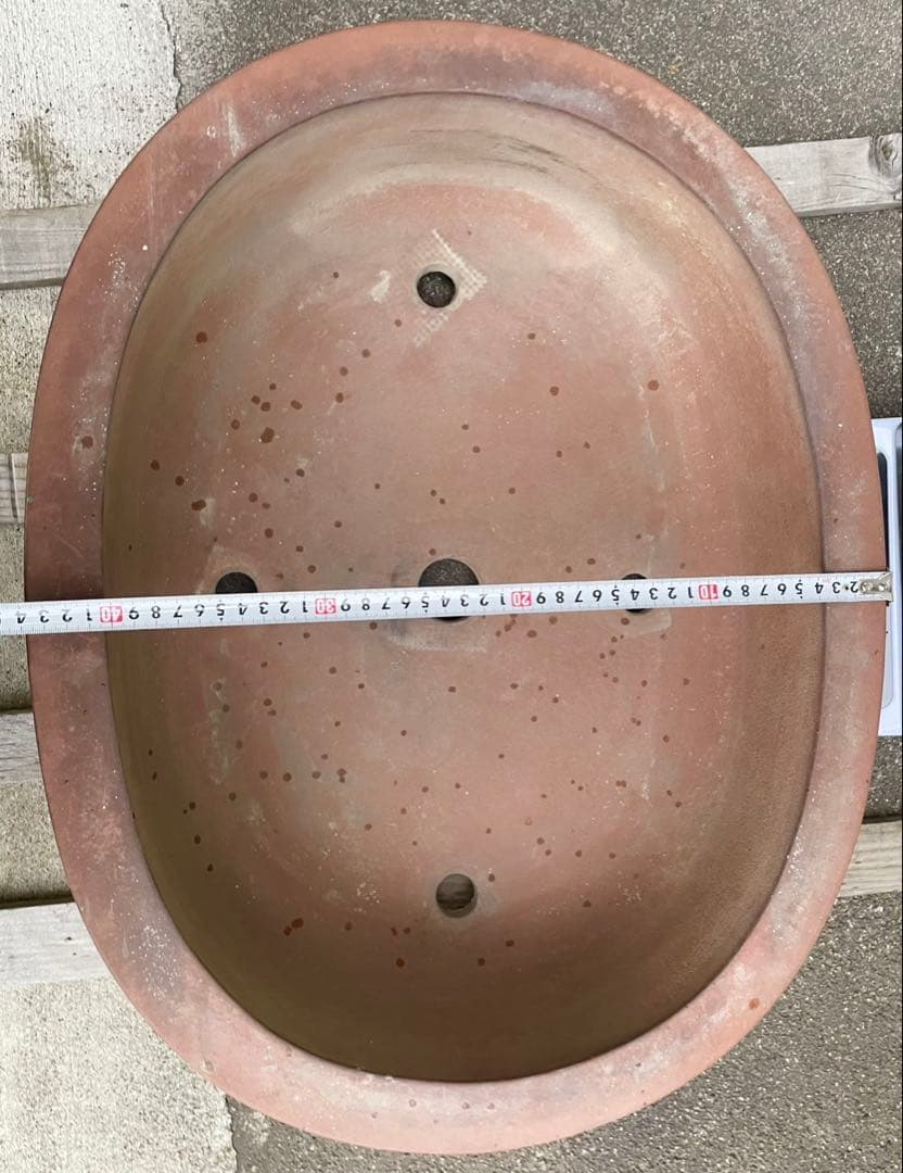 盆栽　鉢　57cm　板山　大型　特大