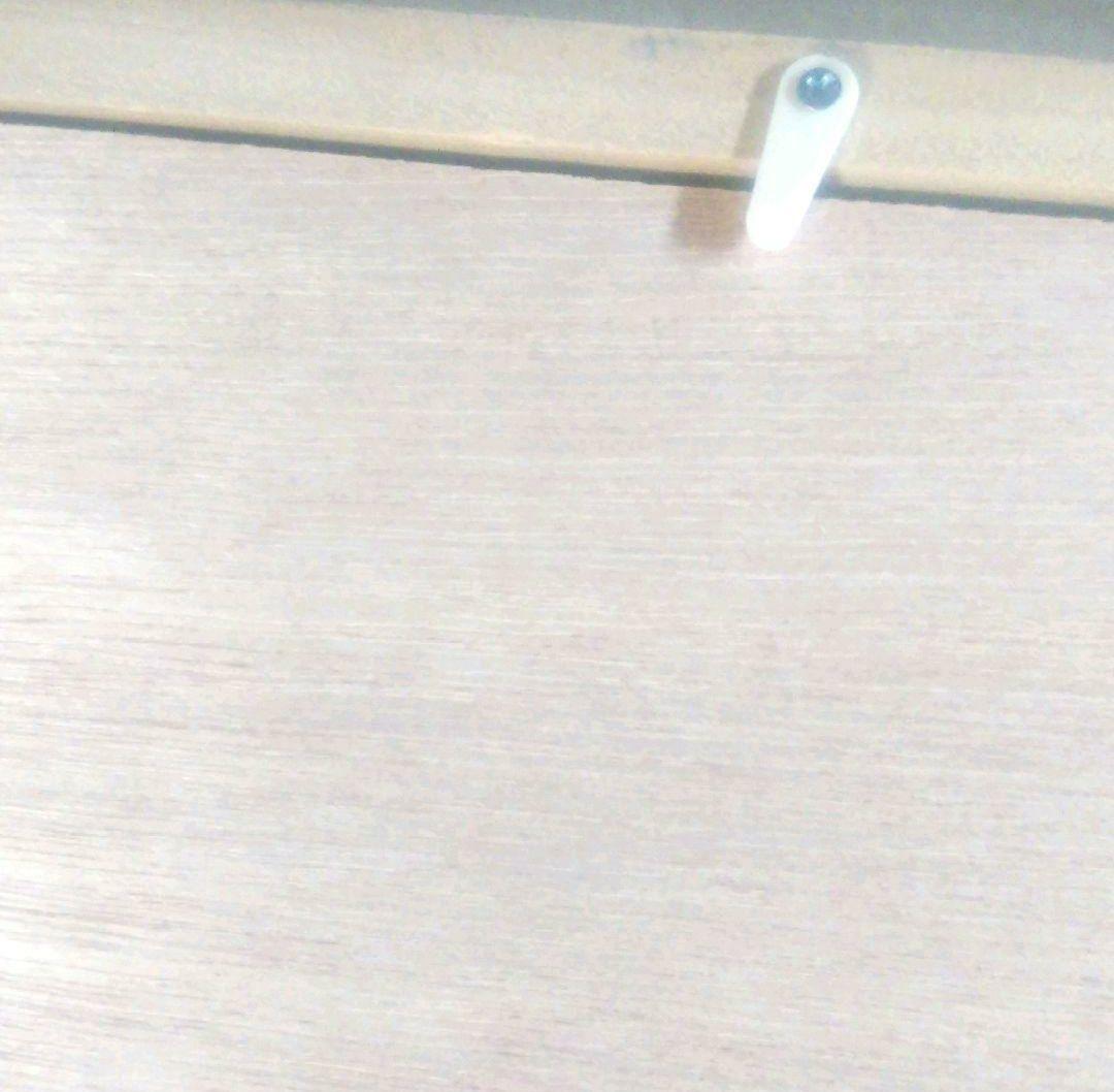 24金メッキ　大判　小判　レプリカ　古美術　額縁入り　24K　COLOR　2点