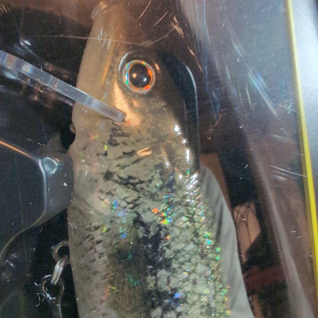 【デプス】キープキャスト限定ルアー　ハイサイダー172 リューギコラボ　ケタバス