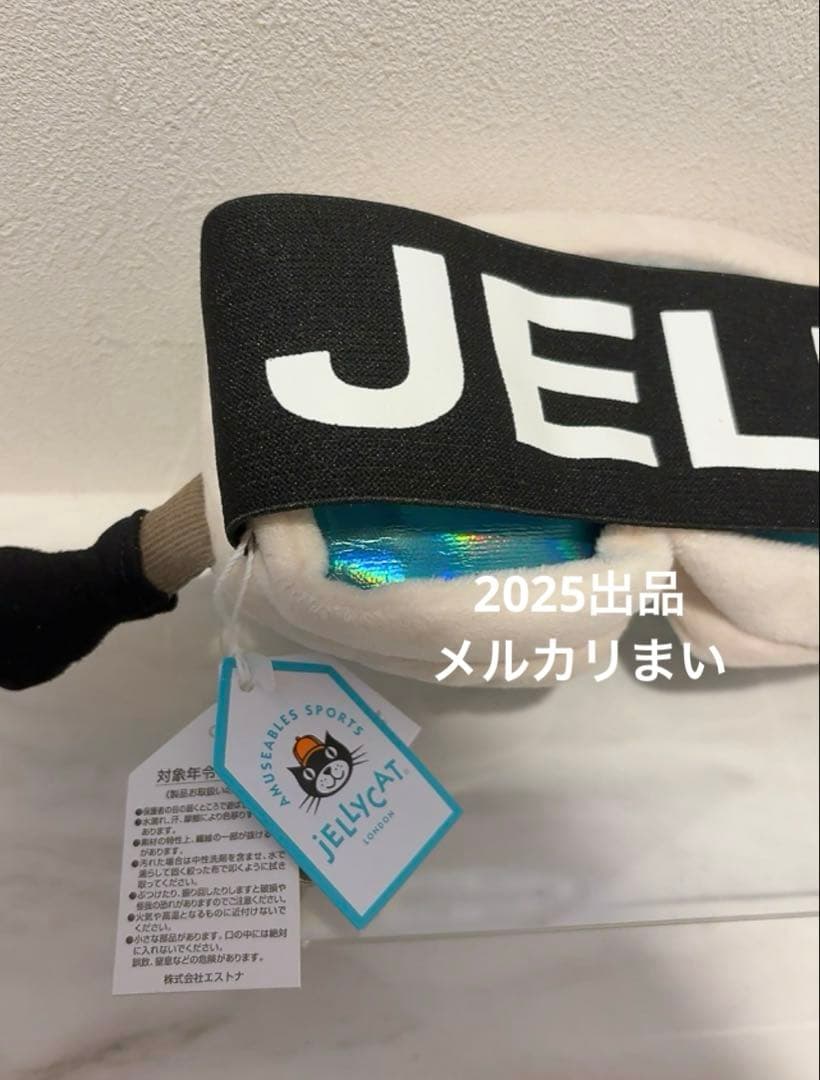  Amuseable Sports Ski Goggle スキー