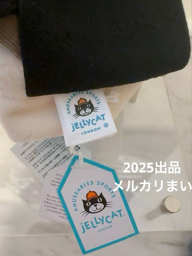  Amuseable Sports Ski Goggle スキー