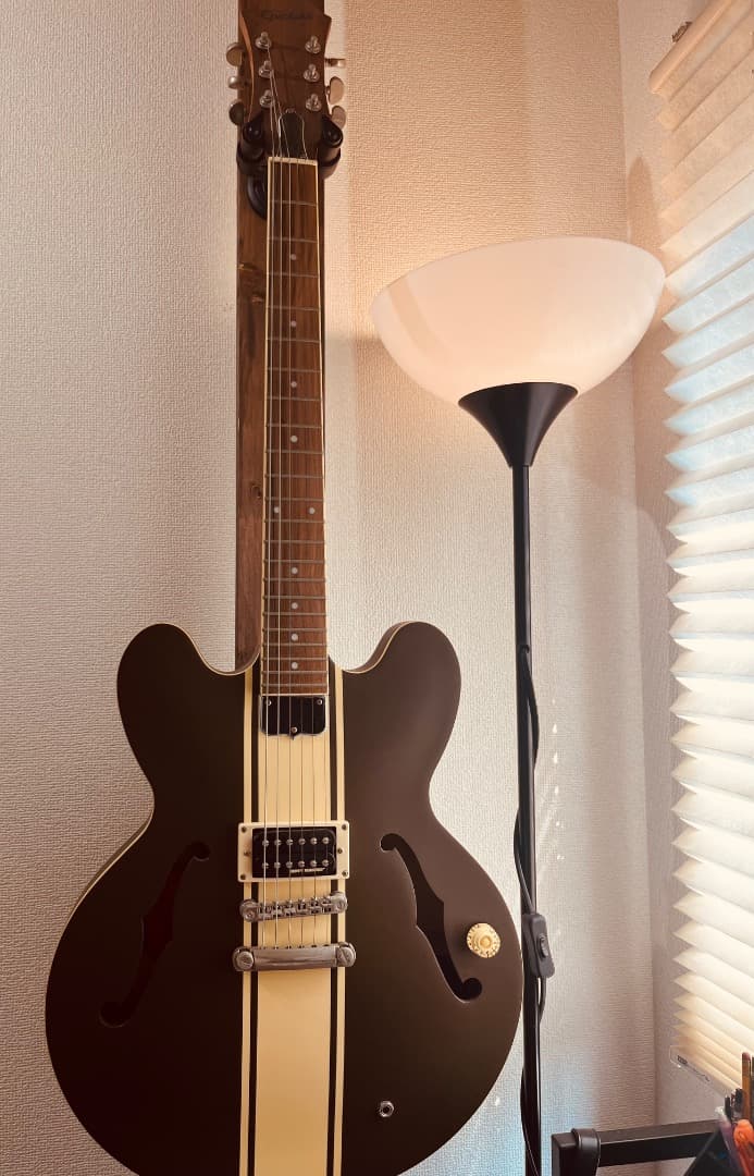 ギター Tom DeLonge ES-333 Epiphone Blink 182