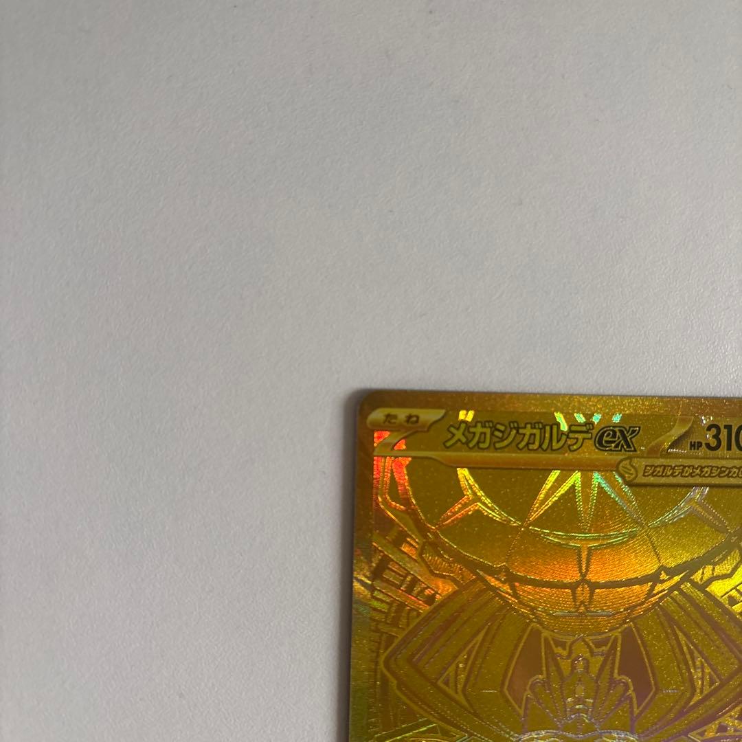 ス*シ様 メガジガルデEX