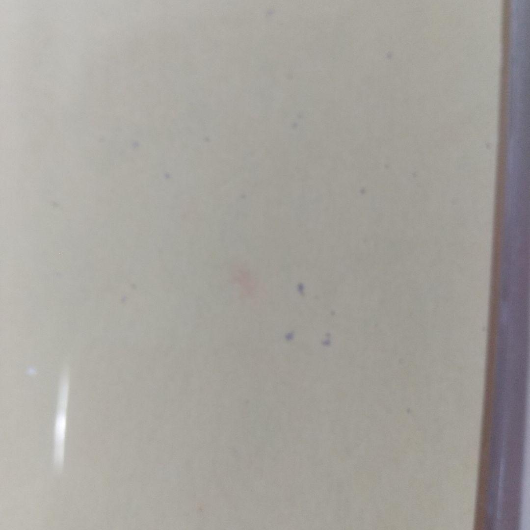 プロセカ 東雲彰人 グッズまとめ売り缶バッジ