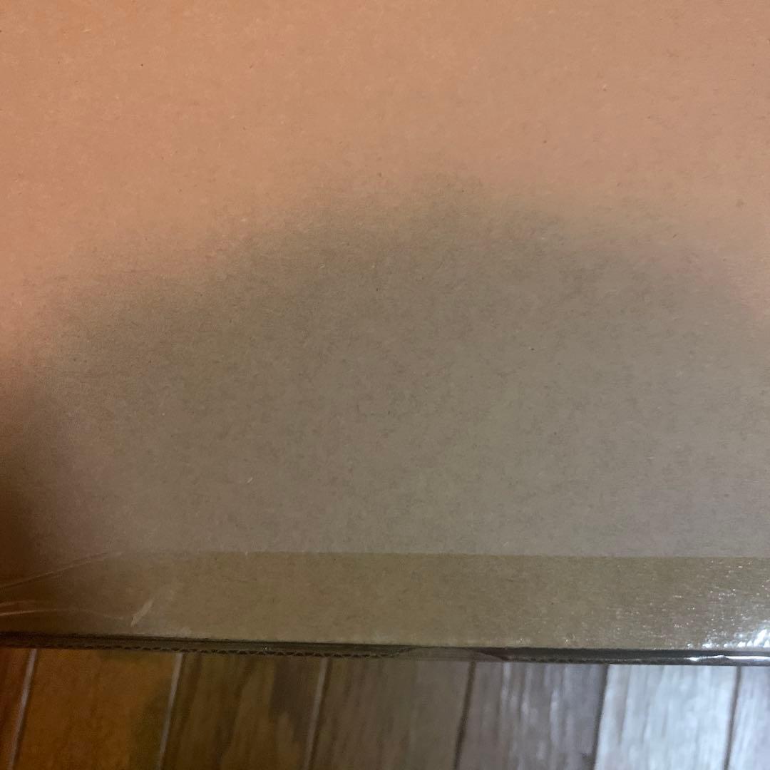 S.H.MonsterArts GODZILLA (2024) ゴジラ2024