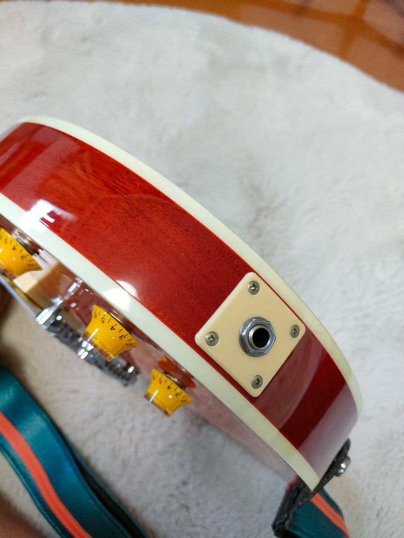 G-レオン -HIROKAZ Signature Model ESPカスタム