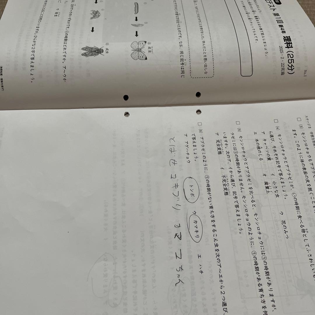 2025年 日能研 4年 ステージⅡ 育成テスト【前期】4科目他❗️