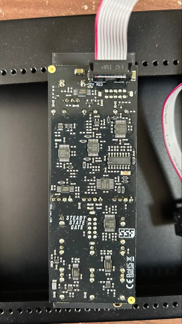 鍵盤楽器 Steady State Fate - Steady State Gate