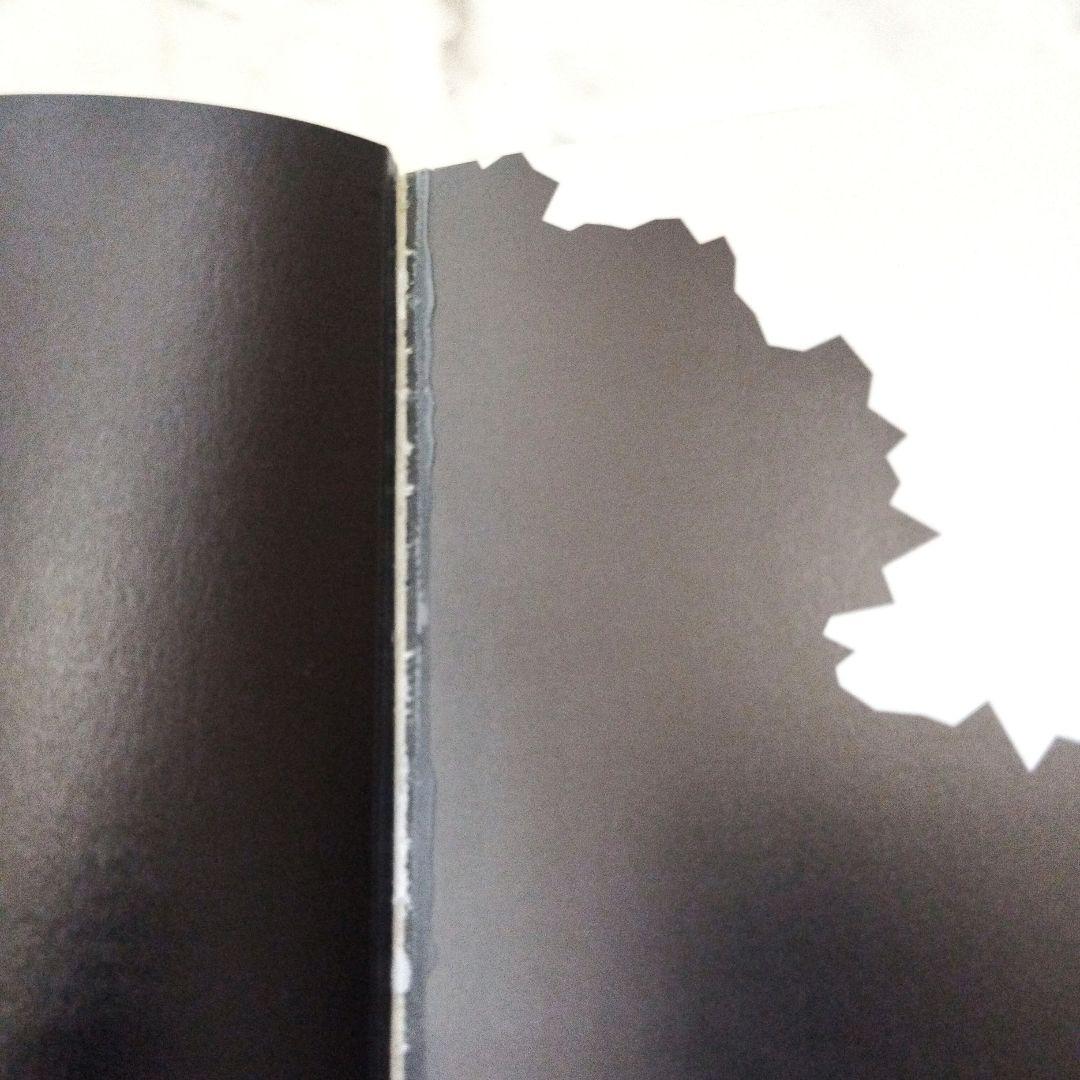 初版 限定特典 Nana 1st illustrations 画集 矢沢あい