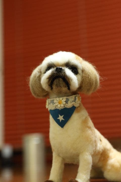 羊毛フェルト　シーズー