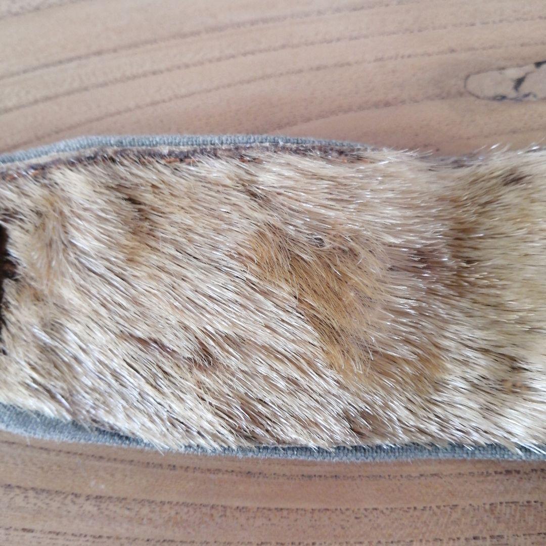 ゾンメルスキー　アザラシ　シール