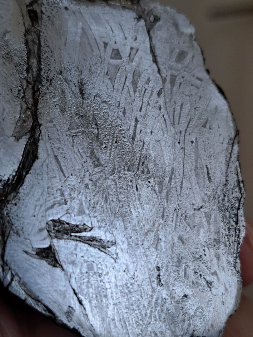 【金運】アルタイ隕石　大型隕石 鉄隕石　外皮付き隕石　原石　重さ887ｇ