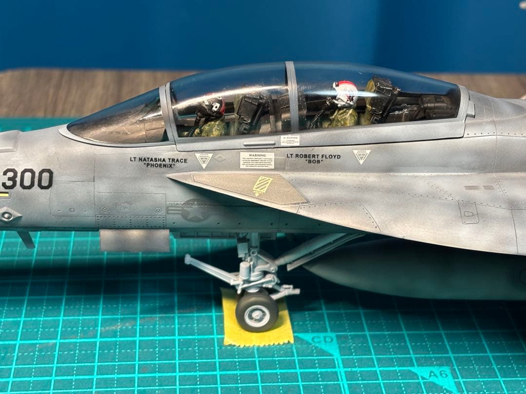 戦闘機　プラモデル　完成品　ハセガワ　1/48 F/A-18F