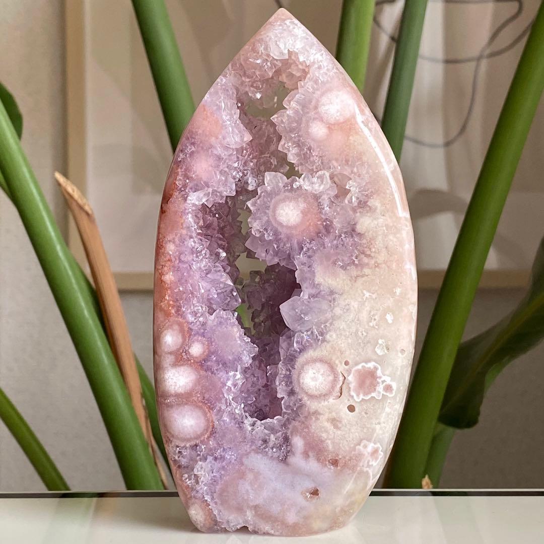 ヤシの実様　お受け取りまでのご確認用ページ