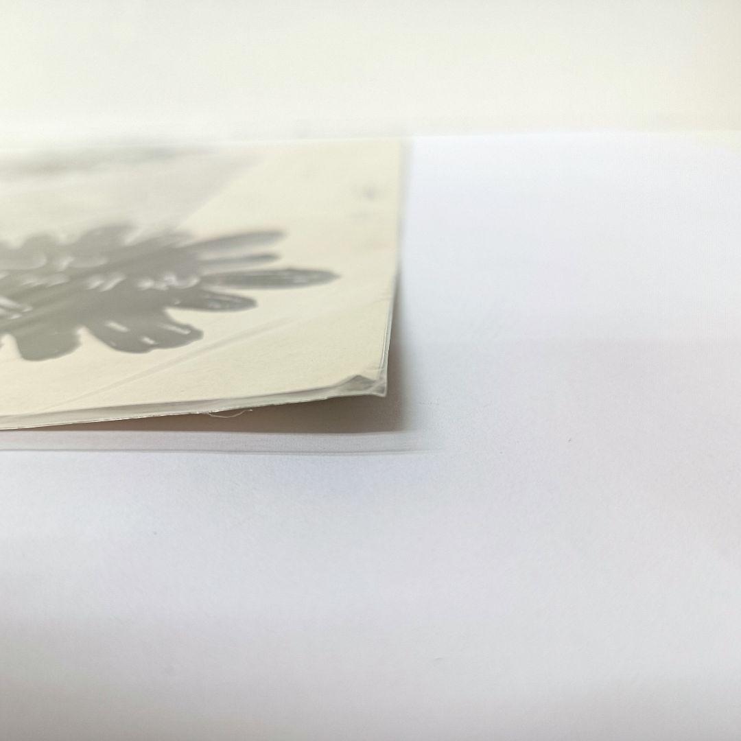 2.『聖闘士星矢』複製原稿（2枚セット）〈WJ50周年展VOL.1〉　未開封