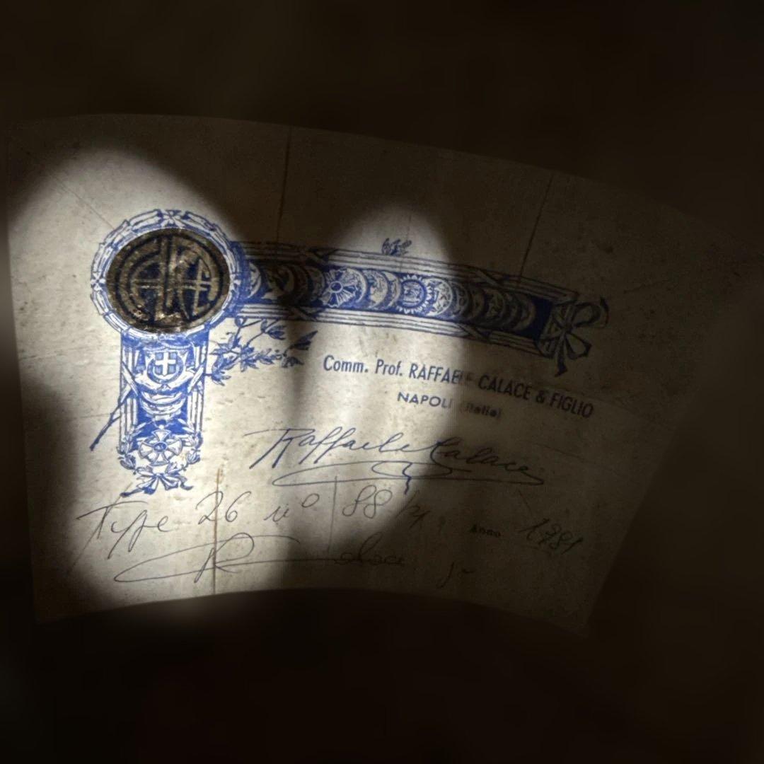 オプティマ新弦交換済 カラーチェ マンドリン type 26 ハードケース付き