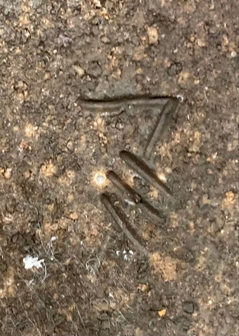 B457b「備前 花入」紀文春造　共布共箱　伊部　備前焼　日本六古窯